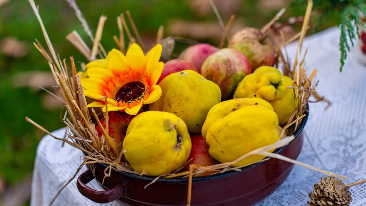 A colorful autumn fruit basket arrangement with quinces, apples, and sunflower on a lace table outdoors.